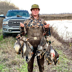 Meet your Posher, Jackson